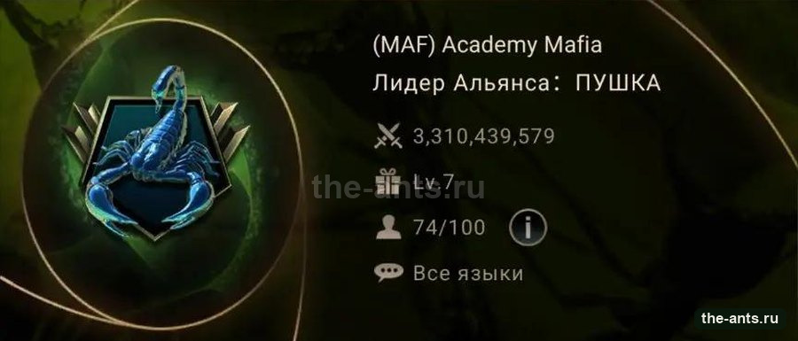 Карточка альянса Academy Mafia: сила, уровень и состав