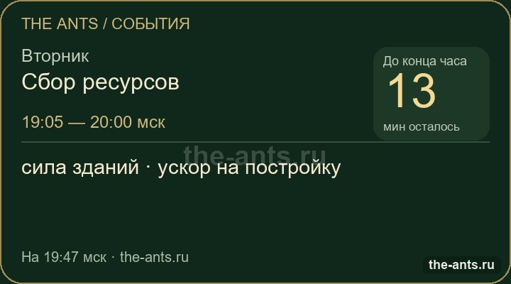 Макет лесного виджета The Ants: событие, задания и таймер